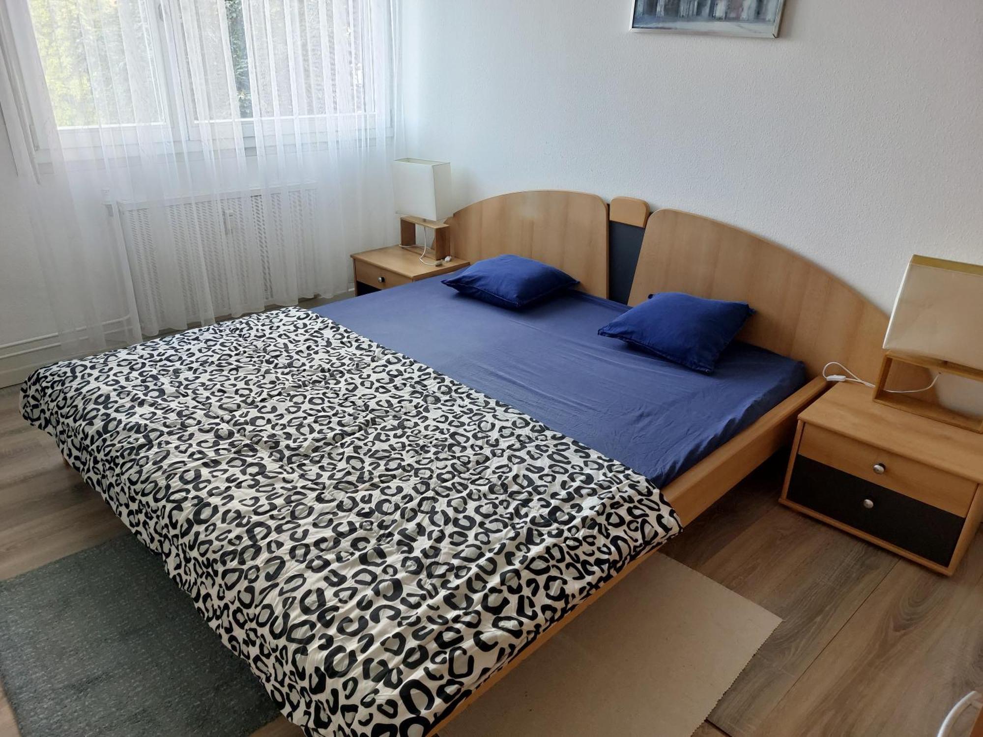 3 Zimmer Apartment In Saint Louis, Nahe Euroairport المظهر الخارجي الصورة